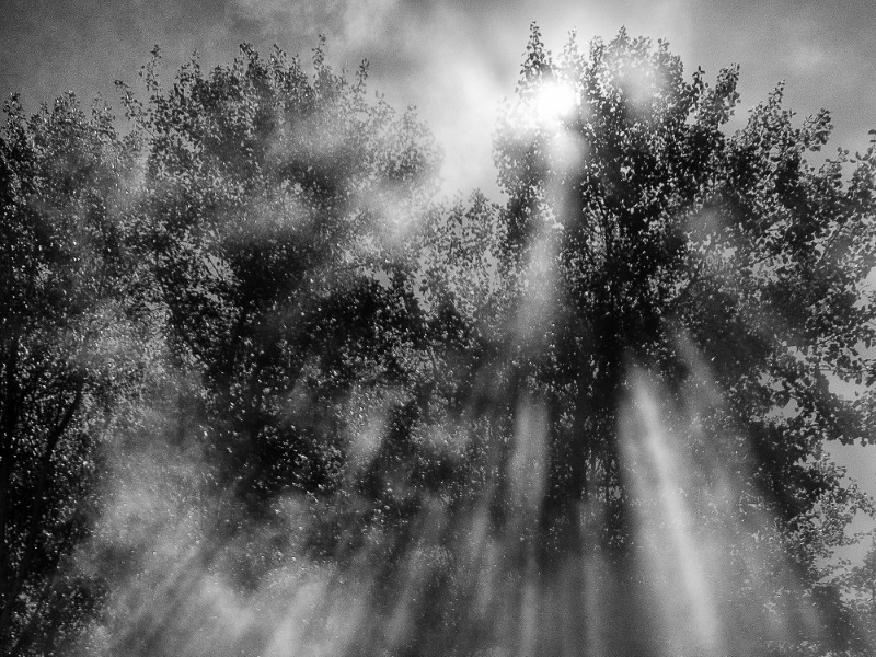 Edito Newsletter MR Lux Edito Newsletter MR Lux