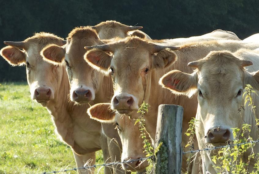 Excellente nouvelle pour le monde agricole ! Excellente nouvelle pour le monde agricole !