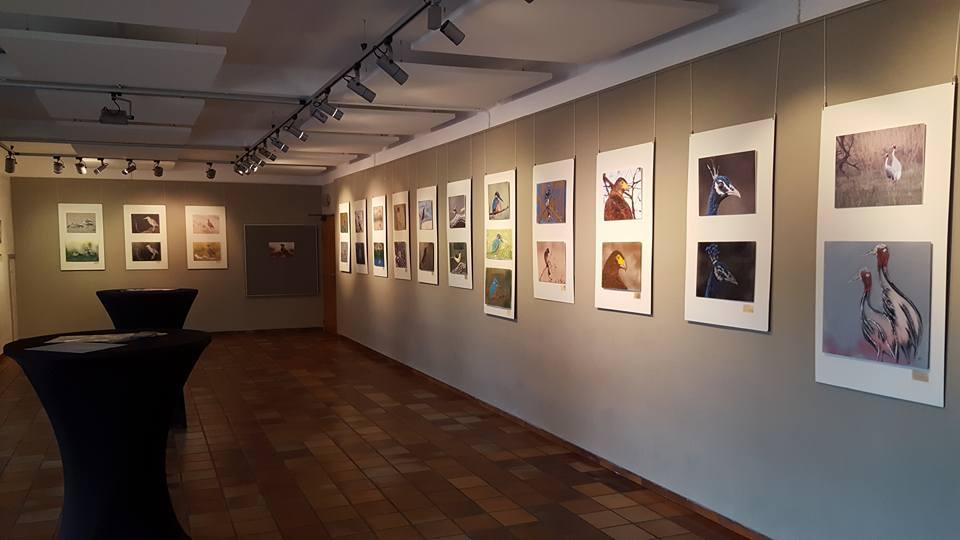 Exposition A tire d'ailes M-Claire Glaude et André Cornet