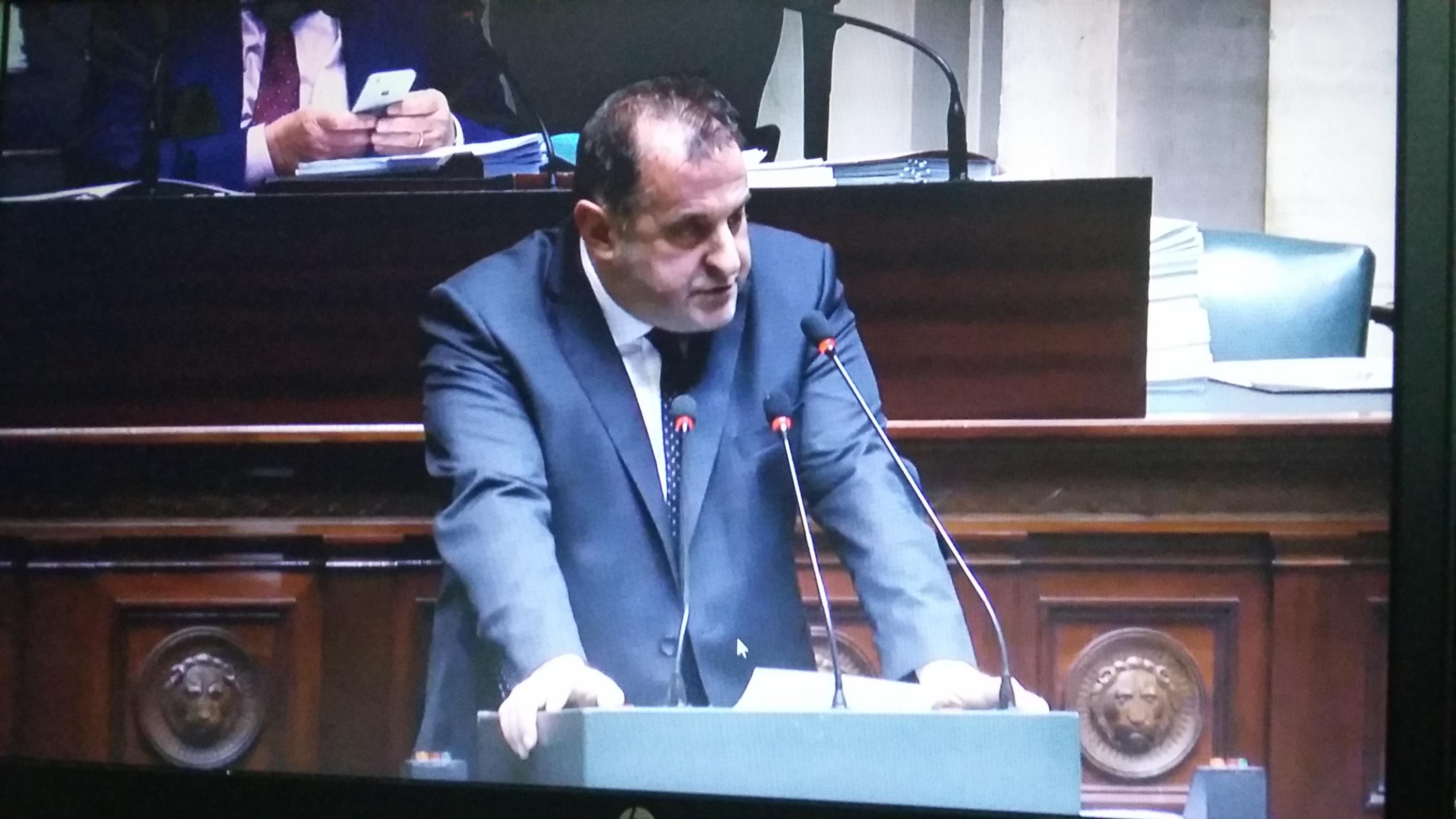 Intervention en séance plénière sur le bois illégal Intervention en séance plénière sur le bois illégal