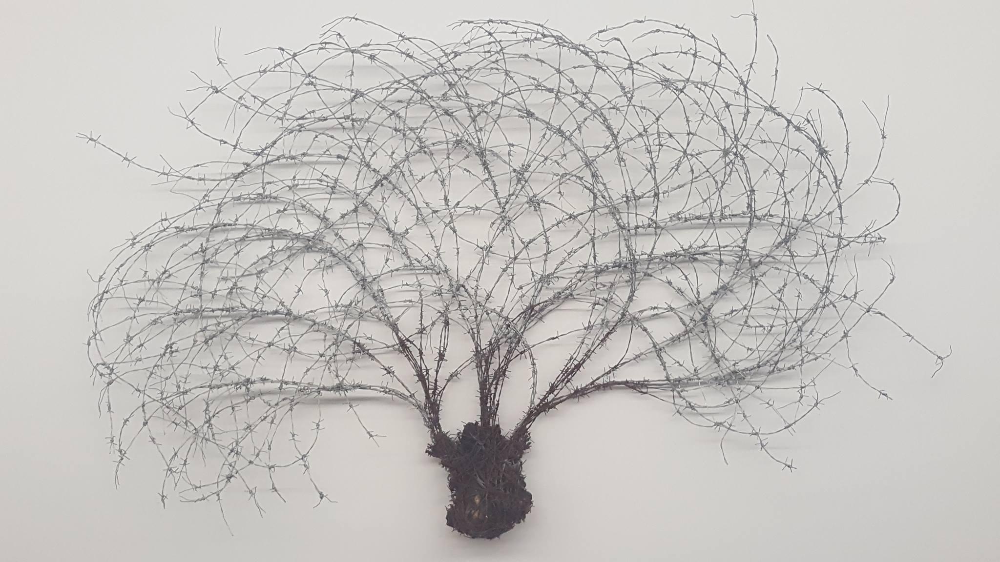 Ouverture de la saison au CACLB à Montauban