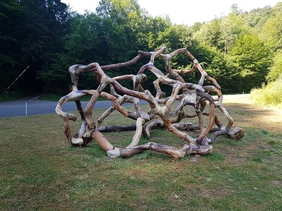 Présentation de l'expo à Montauban