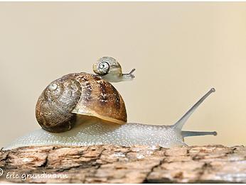 Présentation de l'exposition d' Eric Grundmann au Gaume Jazz Festival