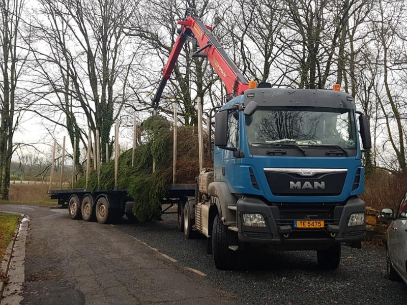 Un sapin pour Tintigny Un sapin pour Tintigny